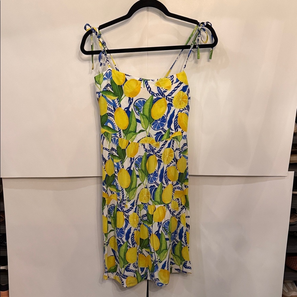 Kenny Flowers Pasitano Mini Resort Dress